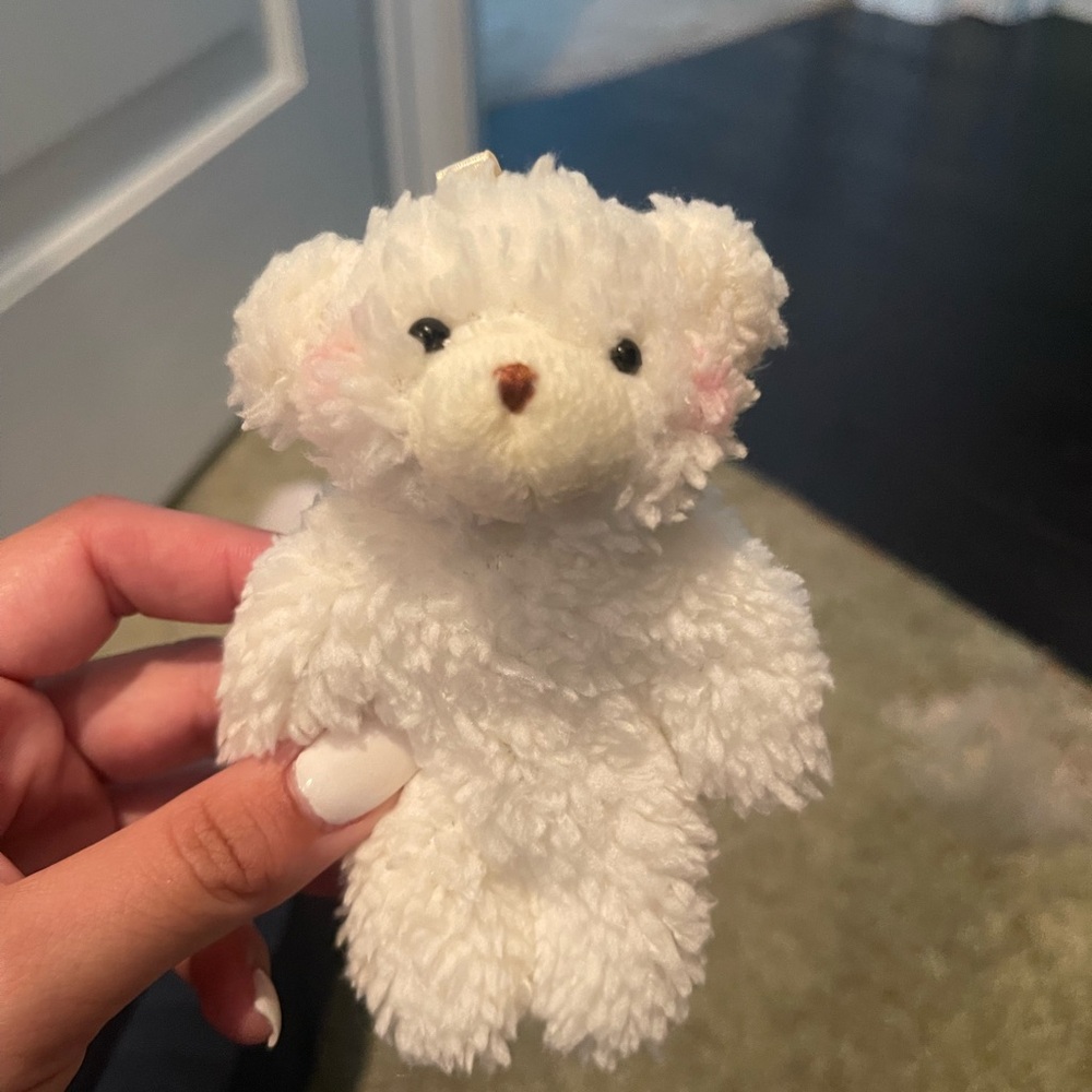 Plush White Teddy Bear Toy for Small Pets